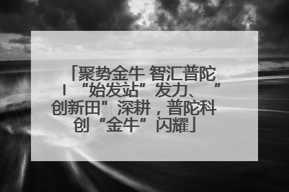 聚势金牛 智汇普陀〡“始发站”发力、“创新田”深耕，普陀科创“金牛”闪耀